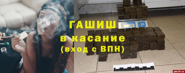 стафф Кодинск