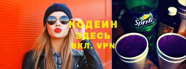 ПСИЛОЦИБИНОВЫЕ ГРИБЫ Козловка