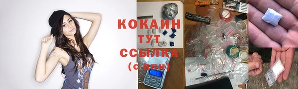 ПСИЛОЦИБИНОВЫЕ ГРИБЫ Козловка