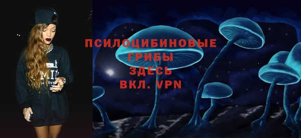 mix Козельск