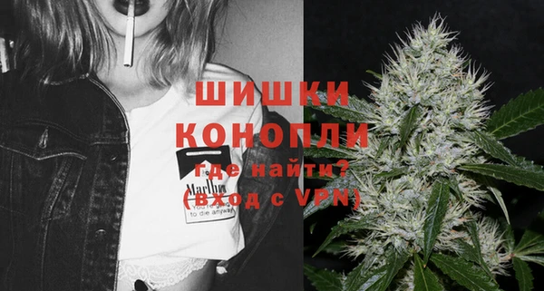 стафф Кодинск