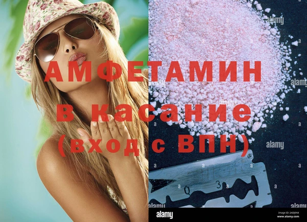 ПСИЛОЦИБИНОВЫЕ ГРИБЫ Козловка