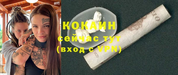 стафф Кодинск