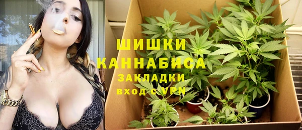 ПСИЛОЦИБИНОВЫЕ ГРИБЫ Козловка