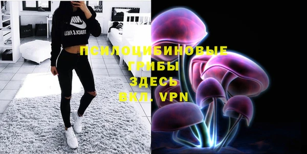 ПСИЛОЦИБИНОВЫЕ ГРИБЫ Козловка