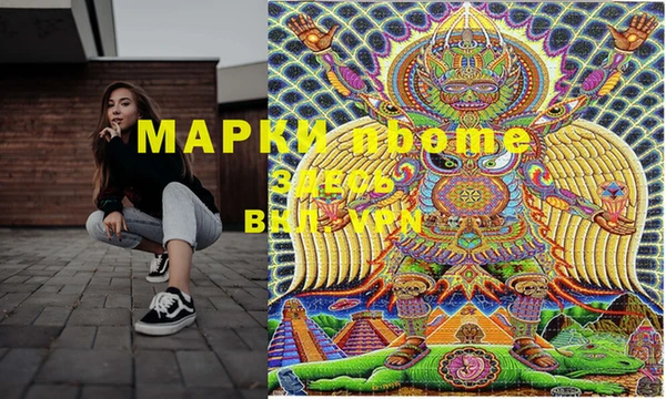 стафф Кодинск
