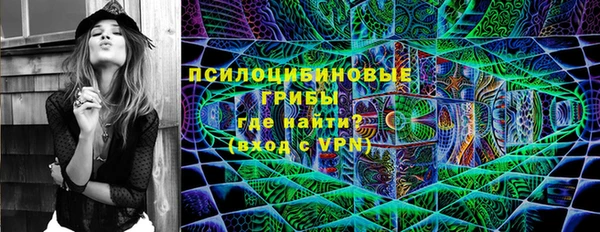 стафф Кодинск