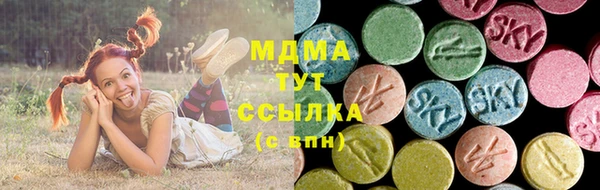 ПСИЛОЦИБИНОВЫЕ ГРИБЫ Козловка