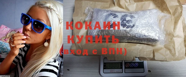 ПСИЛОЦИБИНОВЫЕ ГРИБЫ Козловка