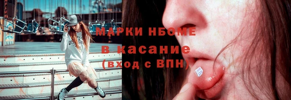 стафф Кодинск