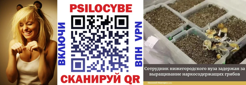 Галлюциногенные грибы мухоморы  Купить закладки  Балабаново 