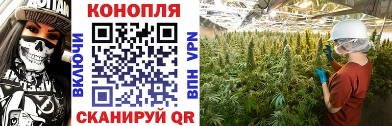Каннабис тримм  Купить закладки  Балабаново 